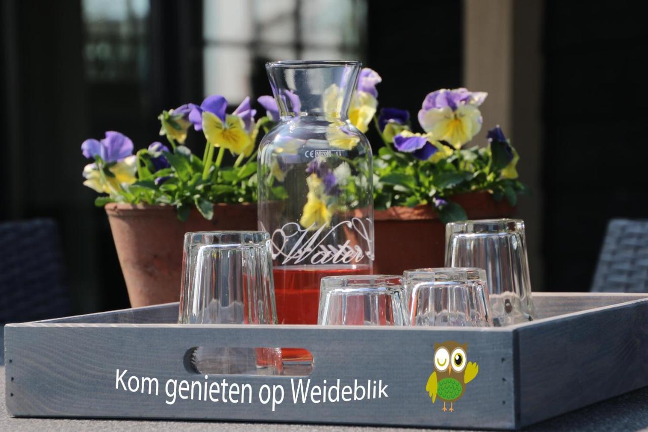 Vakantiehuis Weideblik 比兹莫特 外观 照片