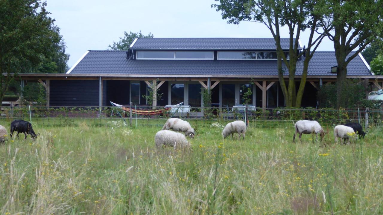 Vakantiehuis Weideblik 比兹莫特 外观 照片